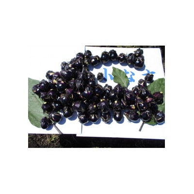 【玄米と麹漬け】(おく漬け)レンジ解凍菊入フローズン秋田丸小茄子漬け(冷凍品)180g6パック入り