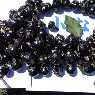 【玄米と麴漬け】(おく漬け)菊入フローズン秋田丸小茄子漬け(冷凍品)180g6パック入り