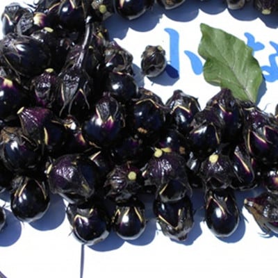 【玄米と麹漬け】(おく漬け)菊入フローズン秋田丸小茄子漬け(冷凍品)180g6パック入り