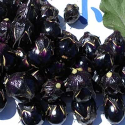 (おく漬け)フローズン秋田丸小茄子漬け(玄米こうじ漬け)180g入り7パック