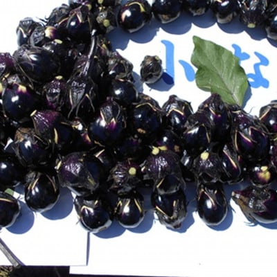 (おく漬け)フローズン秋田丸小茄子漬け(玄米こうじ漬け)180g入り7パック