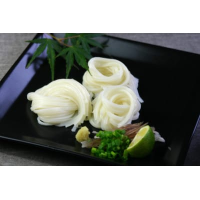 北海道産小麦粉使用稲庭饂飩 160g×9本