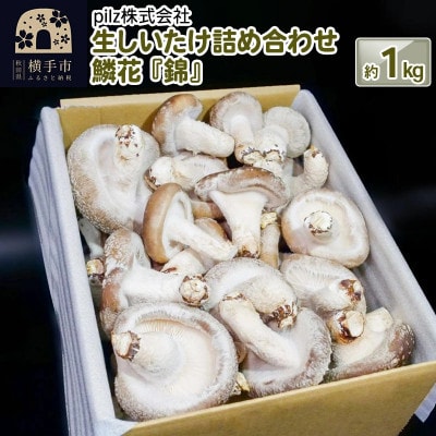 椎茸 ブランド 鱗花【ふるさと納税】鱗花 -錦-(生椎茸) 約1kg