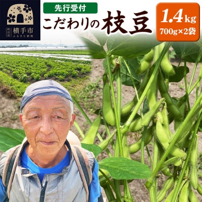 先行受付!こだわりの枝豆 1.4kg(700g×2袋)秋田県横手市産【令和7年7月下旬から順次発送】