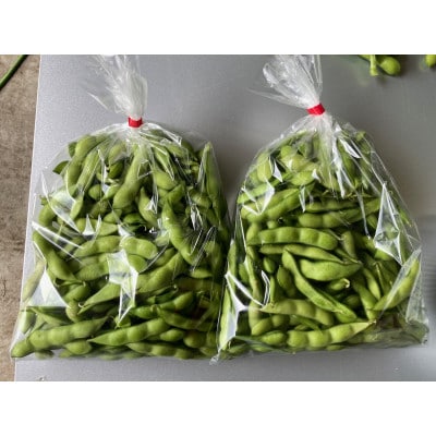 先行受付!こだわりの枝豆 1.4kg(700g×2袋)秋田県横手市産【令和7年7月下旬から順次発送】