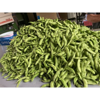 先行受付!こだわりの枝豆 1.4kg(700g×2袋)秋田県横手市産【令和7年7月下旬から順次発送】