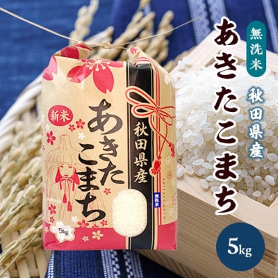 あきたこまち 5kg【無洗米】秋田県産 こまちライン