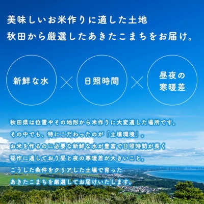 あきたこまち 10kg【7分づき】秋田県産 こまちライン 精米