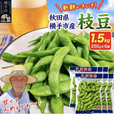 つくり手の顔が見える、新鮮枝豆 1.5kg(250g×6袋)秋田県横手市産