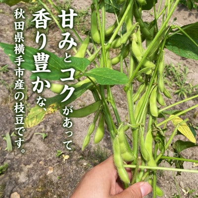 つくり手の顔が見える、新鮮枝豆 1.5kg(250g×6袋)秋田県横手市産