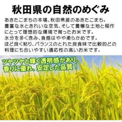 「作り手の顔が見えるお米」秋田県産あきたこまち玄米5kg(令和8年産)