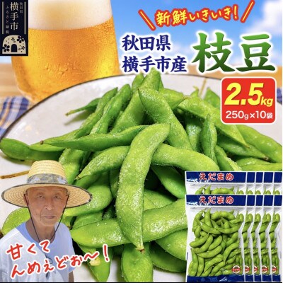つくり手の顔が見える、新鮮枝豆 2.5kg(250g×10袋)秋田県横手市産