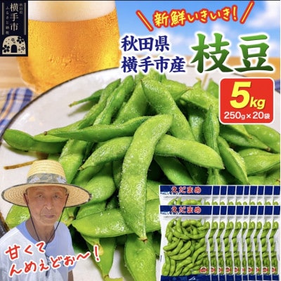 つくり手の顔が見える、新鮮枝豆 5.0kg(250g×20袋)秋田県横手市産