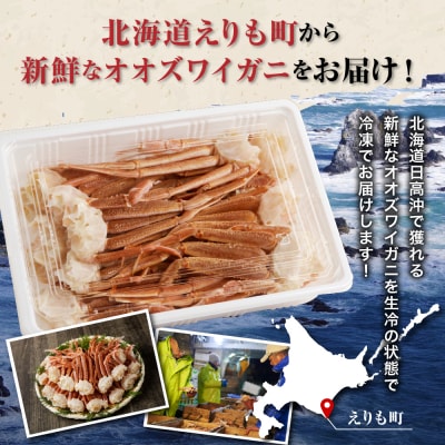 えりも【マルデン特製】訳あり生冷オオズワイガニセクション1kg【er002-049-a】
