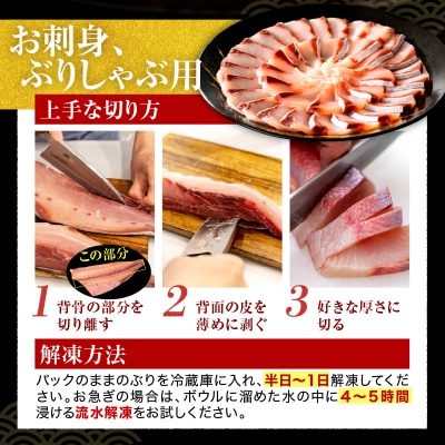 えりも【マルデン特製】北海道日高産ぶり半身800g以上【er002-075-a】