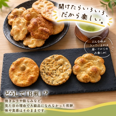さ志まやの煎餅 B煎48枚セット(箱入り)
