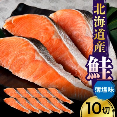 北海道産鮭(薄塩味)10切セット【er003-001-b】