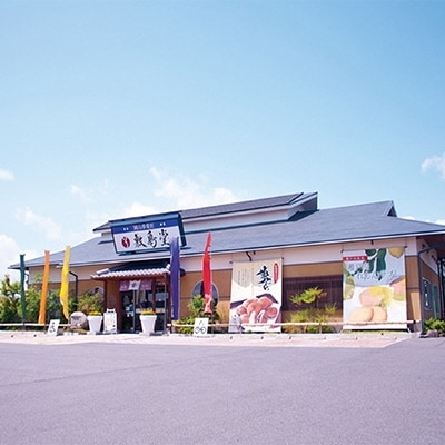 敷島堂 夢どら 北海粒あん・クリーム小倉詰合せ10個入(4月～10月)[No.5735-0910]
