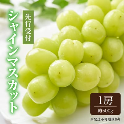 【2026年先行受付】シャイン マスカット 1房 約500g 岡山県産 [No.5735-0659]