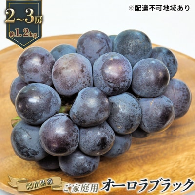 ご家庭用 オーロラブラック 2～3房 合計約1.2kg 岡山県産 [No.5735-0886]