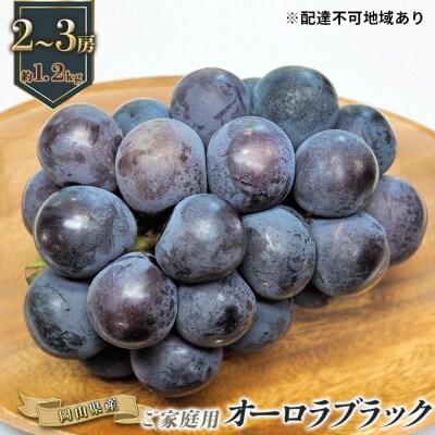ご家庭用 オーロラブラック 2～3房 合計約1.2kg 岡山県産 [No.5735-0886]