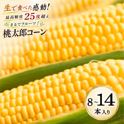 最高糖度25度超え! 牛窓産 黄色 とうもろこし 「桃太郎コーン」 約3kg [2157001]