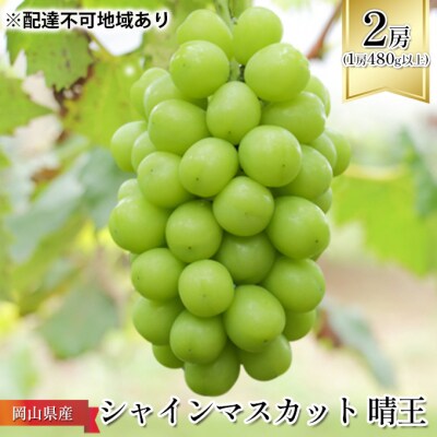 シャイン マスカット 晴王 2房 (1房480g以上)化粧箱入 岡山県産[No.5735-1088]