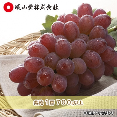  【2026年先行受付】冬ぶどう 紫苑 1房 700g以上 岡山 [No.5735-1431]