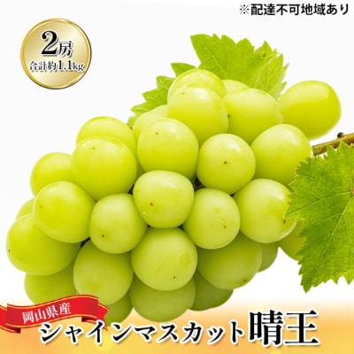 シャイン マスカット 晴王 2房(合計約1.1kg)化粧箱入り 岡山県産[No.5735-1443]