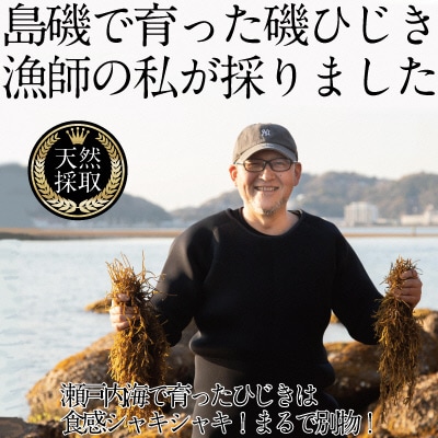 生炊きだからおいしい 瀬戸内 ひじき 28g×12袋 エビス水産[No.5735-1275]