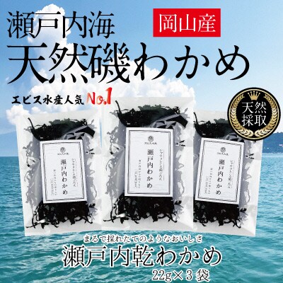 風味豊かな 瀬戸内 わかめ 22g×3袋 エビス水産  [No.5735-1276]