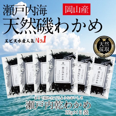 風味豊かな 瀬戸内 わかめ 22g×6袋 エビス水産 [No.5735-1277]
