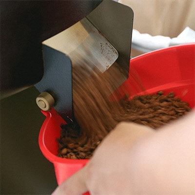 コーヒーシロップ 1本 250ml キノシタショウテン[No.5735-1440]