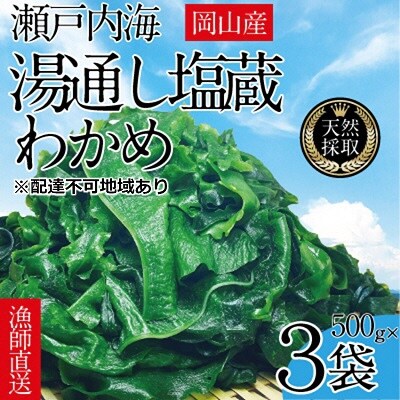 湯通し塩蔵 瀬戸内 わかめ 500g×3袋【岡山 瀬戸内海 天然 塩蔵】[No.5735-1281]