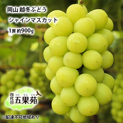 越冬 ぶどう シャイン マスカット 1房 約900g  岡山県産 [No.5735-1490]