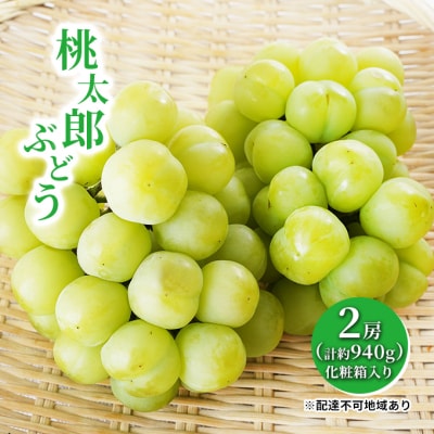 【2026年先行受付】 桃太郎 ぶどう 2房(合計約940g) 岡山県産[No.5735-1458]