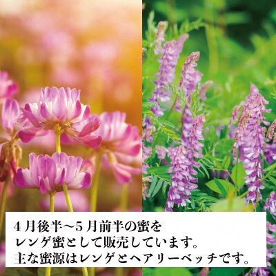 瀬戸内市産 レンゲはちみつ×1本と百花はちみつ×1本のセット 石黒農園[No.5735-1639]