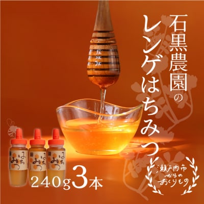 岡山県 瀬戸内市産レンゲ はちみつ 3本セット(1本240g) 石黒農園[No.5735-1640]