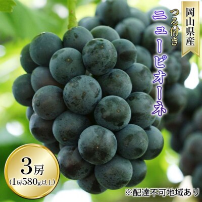 ニュー ピオーネ 3房(1房 580g以上  露地栽培)  岡山県産  [No.5735-1611]