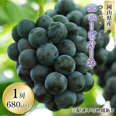 ニュー ピオーネ  1房  680g以上(露地栽培) 岡山県産  [No.5735-1612]