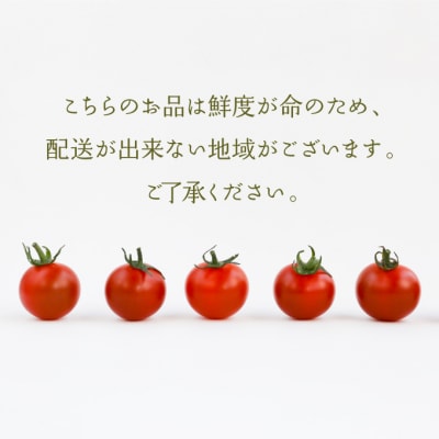 毎日食べたい石黒さんちの ミニトマト 3kg 岡山県瀬戸内市産 石黒農園[No.5735-1646]