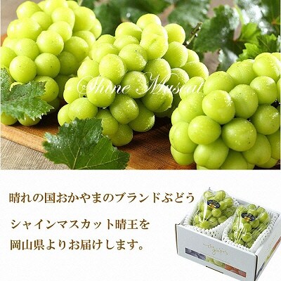 シャイン マスカット 晴王 約500g×2房   岡山県産  [No.5735-1663]