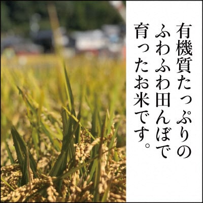 瀬戸内市のおいしい お米 「ひのひかり」10kg(5kg×2袋)石黒農園[No.5735-1647]