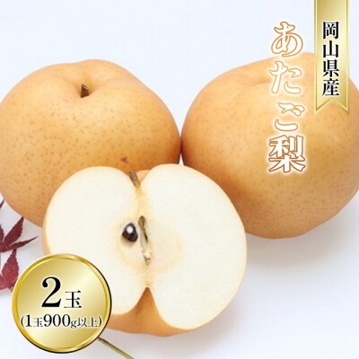【2026年先行受付】あたご梨 2玉入り(1玉 900g以上) 岡山県産[No.5735-1629]