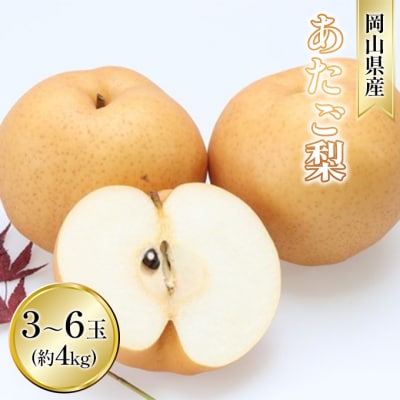 【2026年先行受付】あたご梨 約4kg  3～6玉入り  岡山県産 [No.5735-1630]