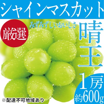 【2026年先行受付】シャインマスカット晴王 1房 約600g 岡山県産[No.5735-1678]
