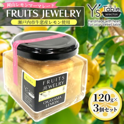 FRUITS JEWELRY 岡山 レモン マーマレード 3個 セット [No.5735-1824]