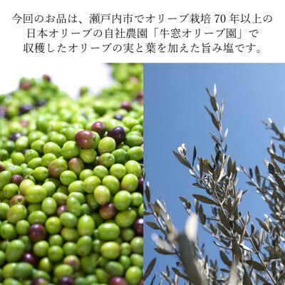 赤屋根オリーブの実と葉入り旨み塩&有機栽培オリーブオイルブレンド セット[No.5735-1842]
