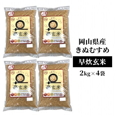 令和7年産 早炊 玄米 きぬむすめ 2kg×4袋  岡山県産 産地直送 [No.5735-1858]