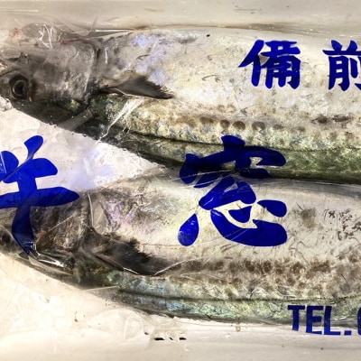 瀬戸内の魚でつくる 干物 6枚入りBOX[No.5735-1939]